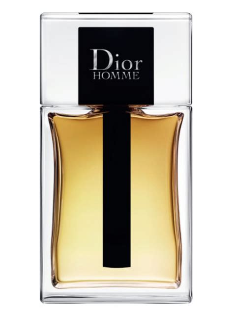 eau de toilette pour homme dior|Dior Homme parfum 2020.